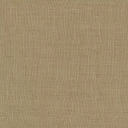 Joni Re - 11007.814