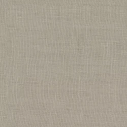 Joni Re - 11007.883