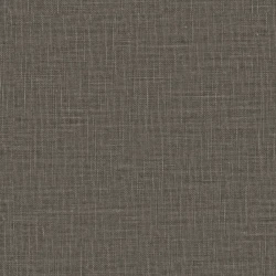 Joni Re - 11007.897