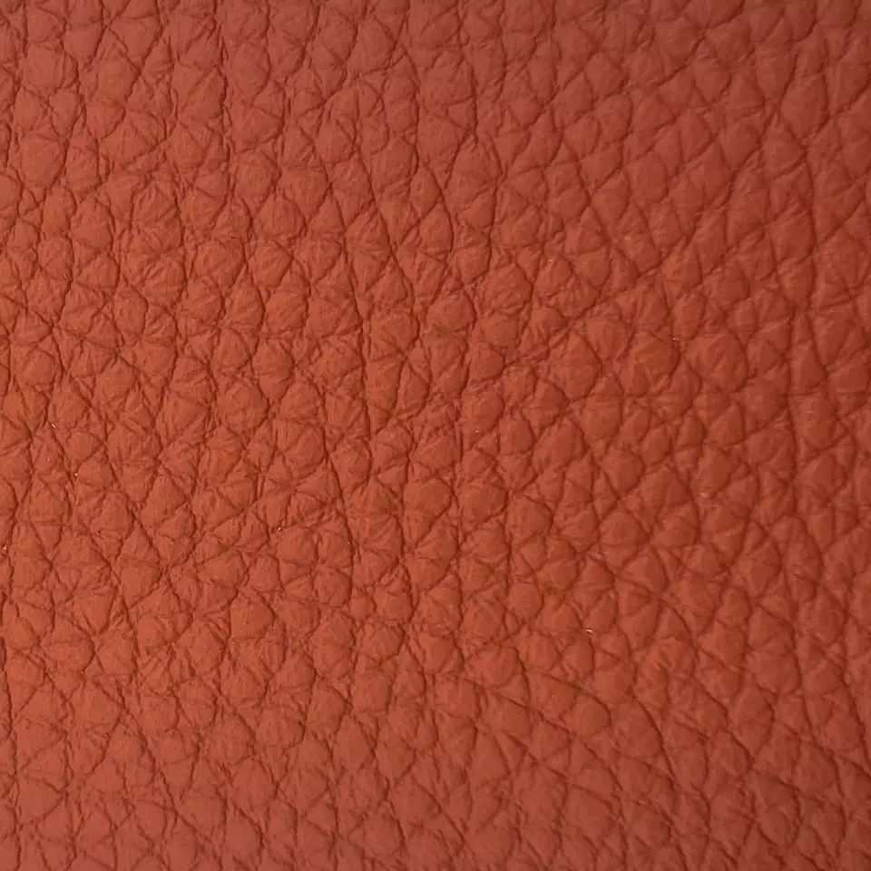 View Bison | Coral Bison | Coral
