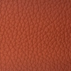 Bison - Coral