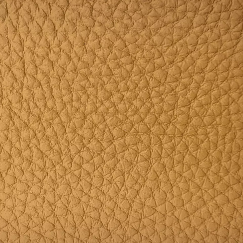 View Bison | Yellow Bison | Yellow