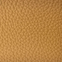 Bison - Yellow