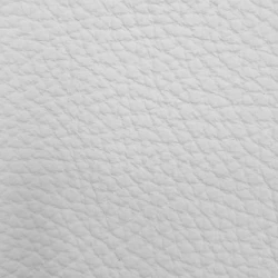Bison - White
