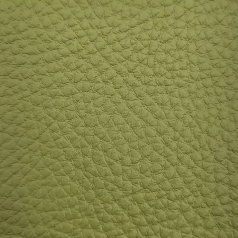 View Bison | Lime Bison | Lime