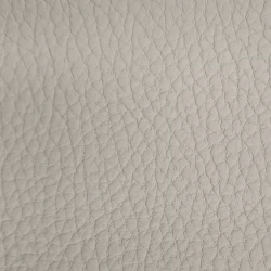 Bison - Ivory