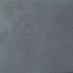 Wilderness - Blue