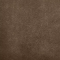 Wilderness - Desert