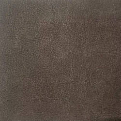 Wilderness - Grey