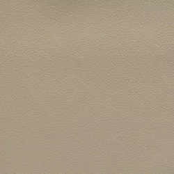 Ocean - Ash