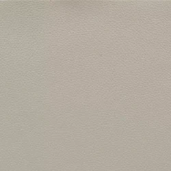 Ocean - Silver