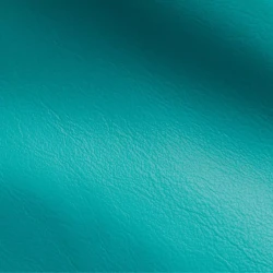 Vision - Atlantic