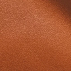 Vision - CAMEL