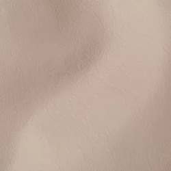 Vision - CASHMERE