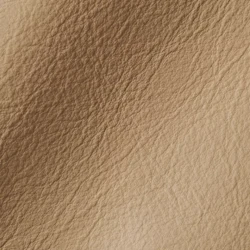 Vision - Dark Beige