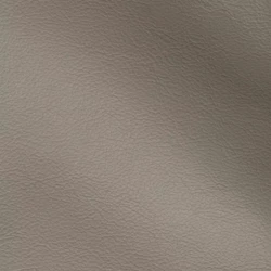 Vision - Dove Grey