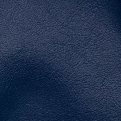 Vision - Oyster