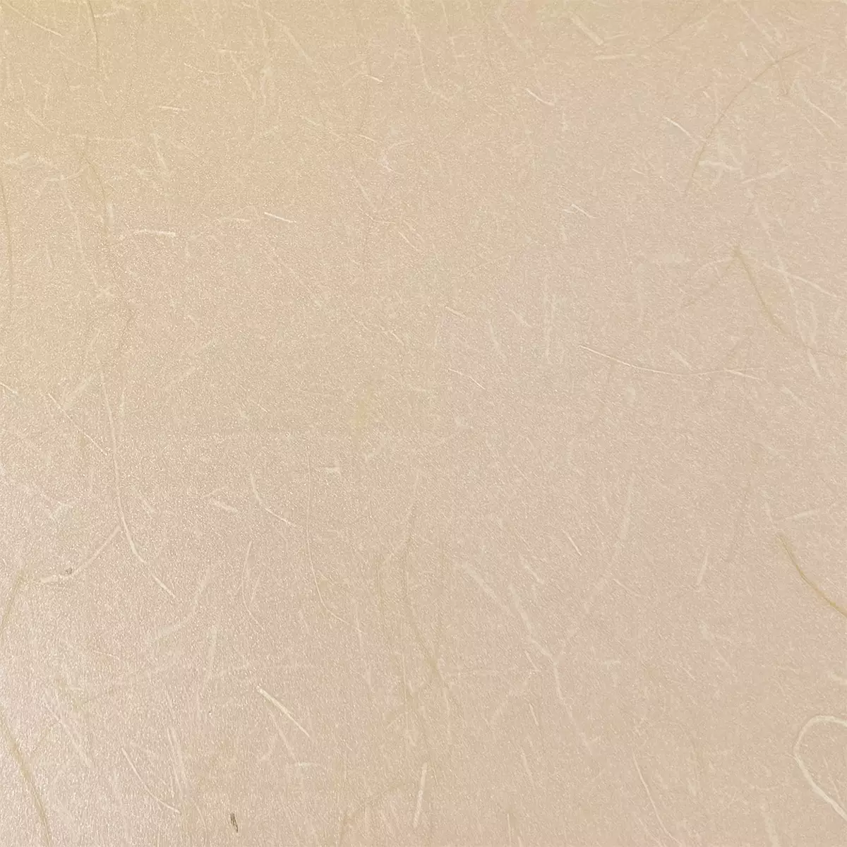 Rice Grass - CA8297/040