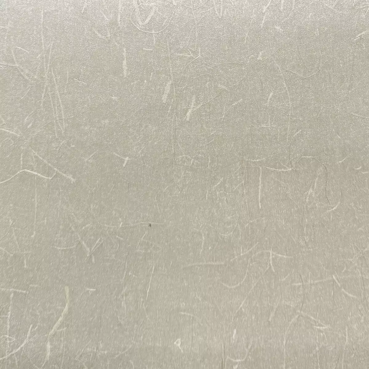 Rice Grass - CA8297/074