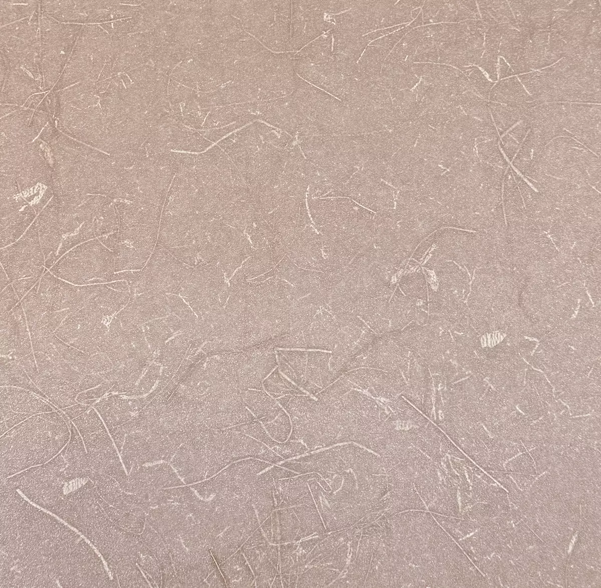 Rice Grass - CA8297/080