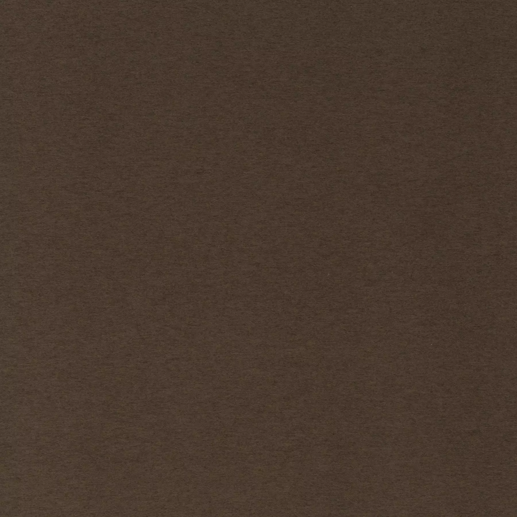 Cosy Dream - Ca1831/022