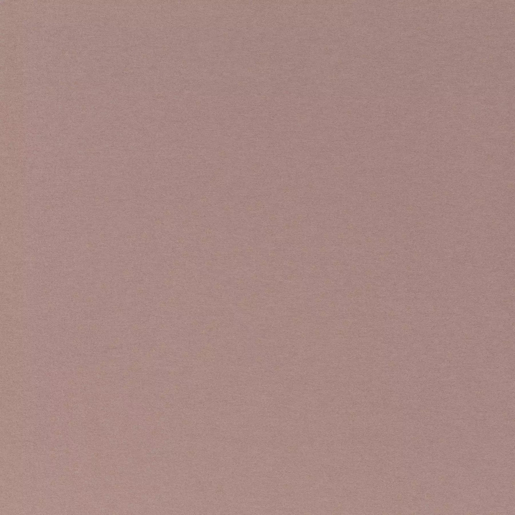 Cosy Dream - Ca1831/061