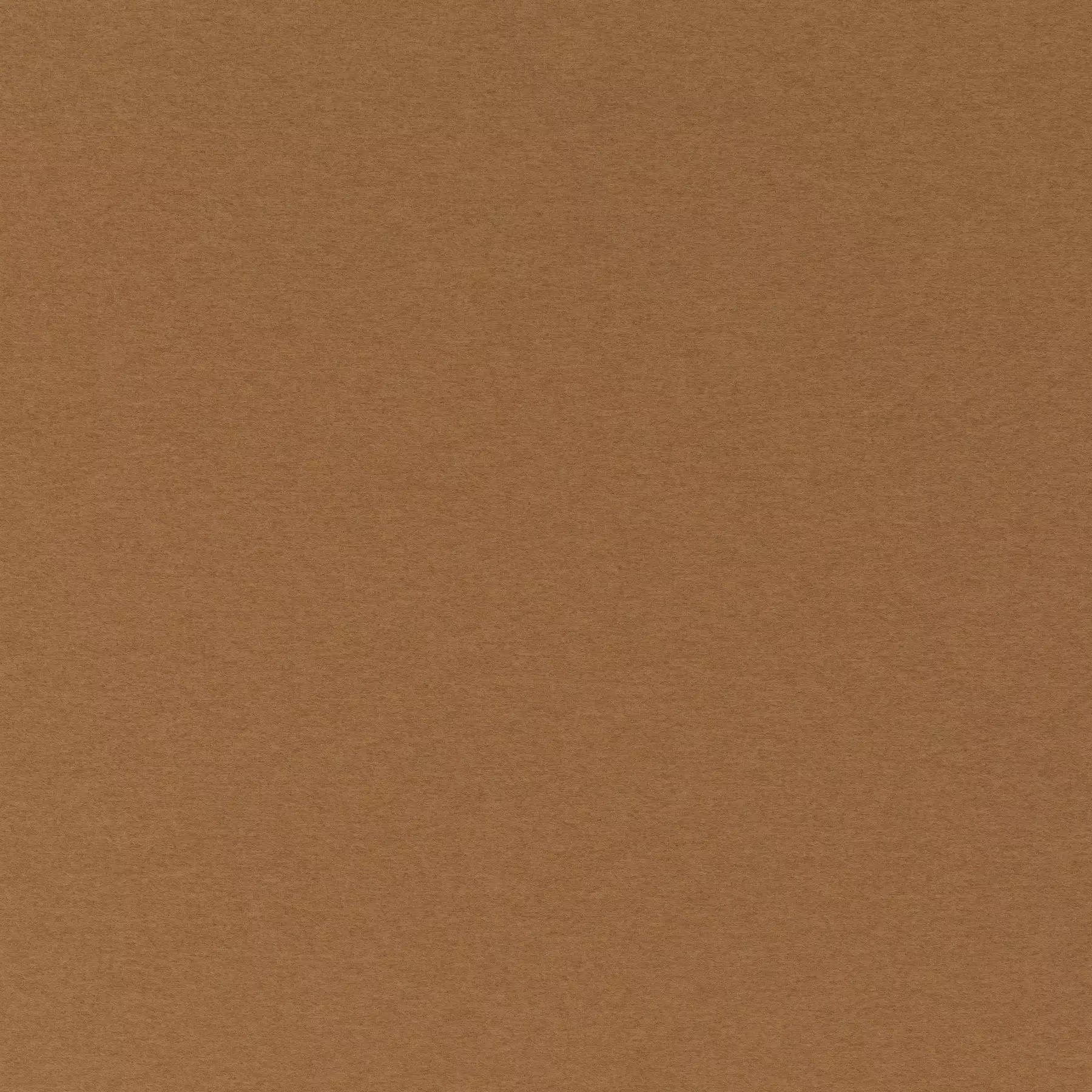 Cosy Dream - Ca1831/062