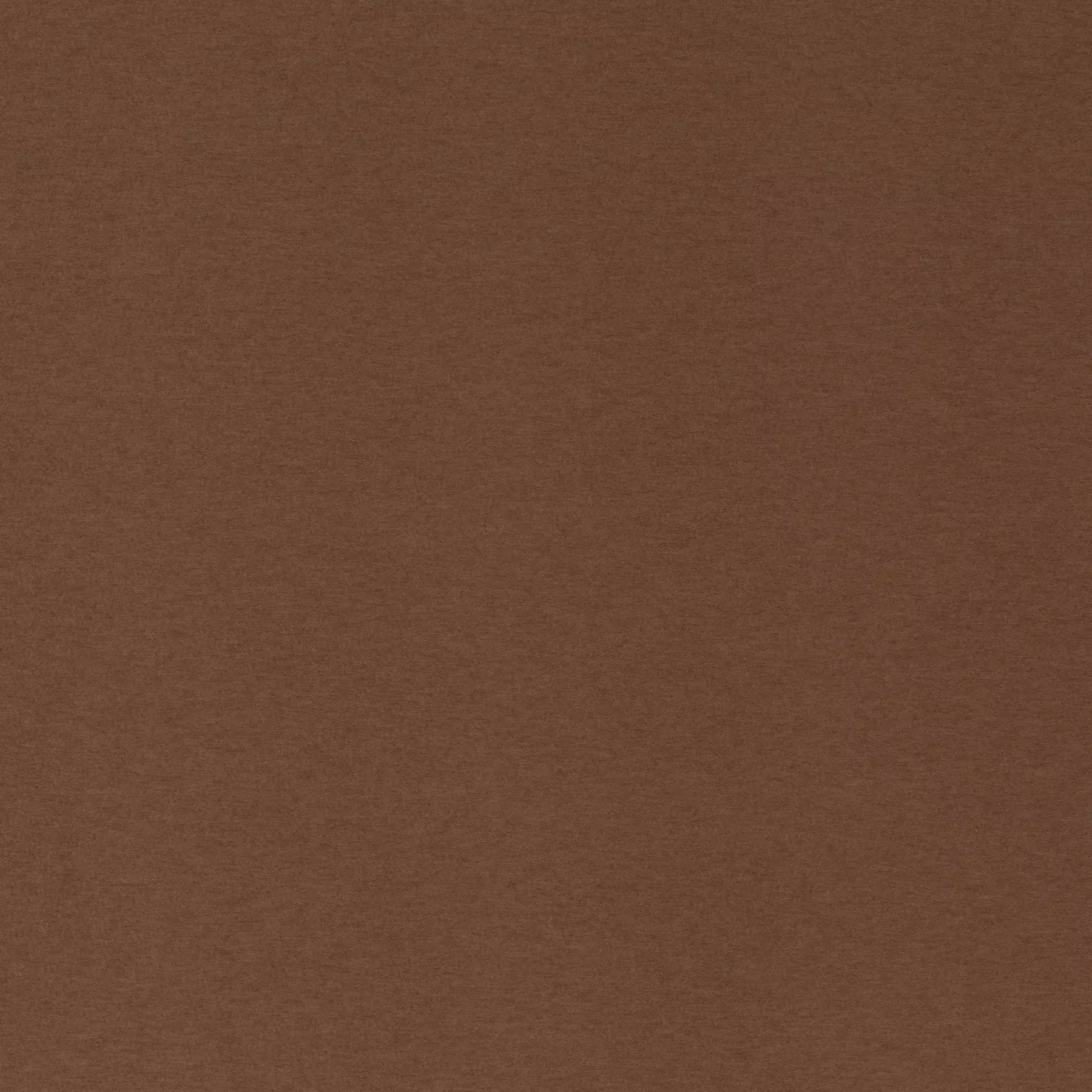 Cosy Dream - Ca1831/063