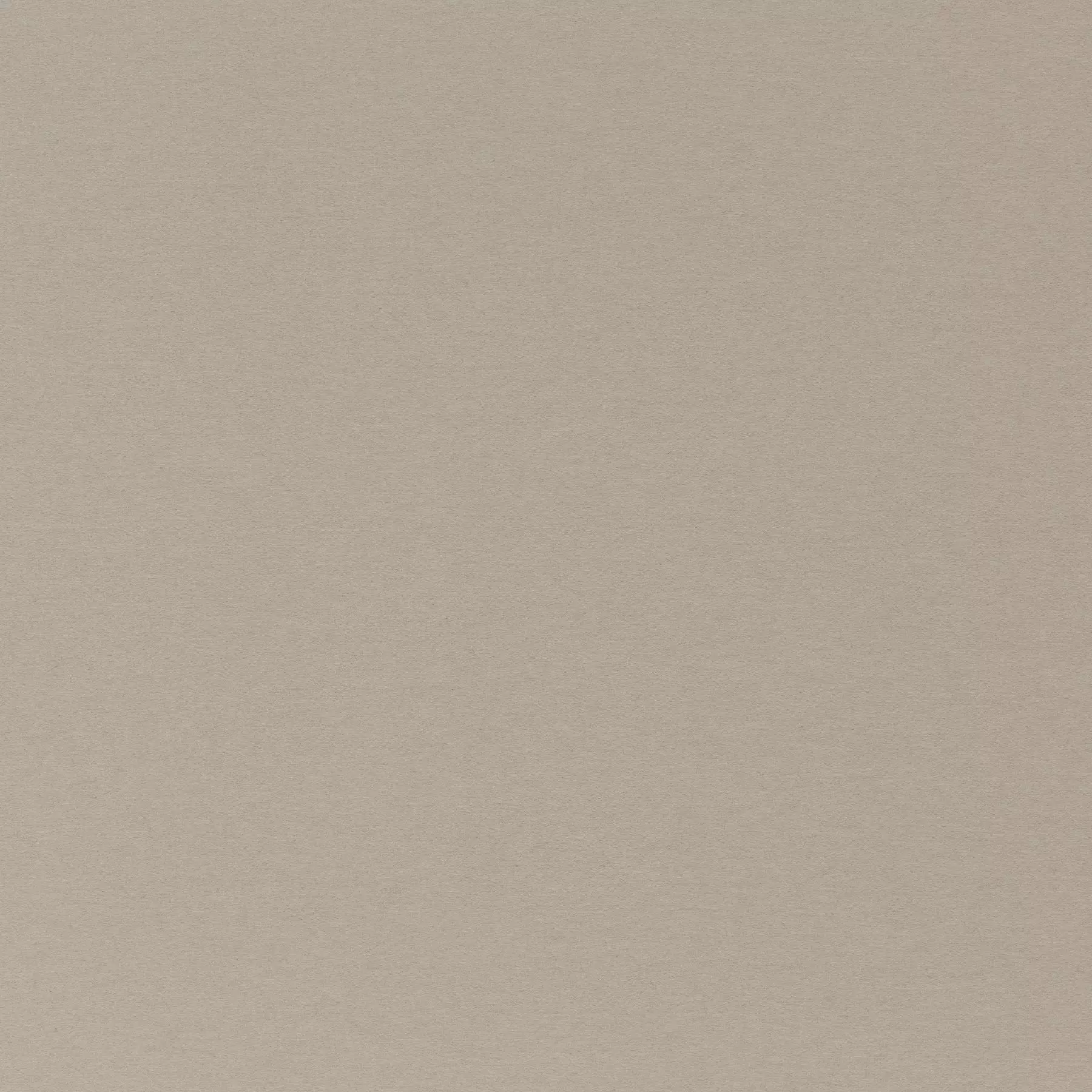 Cosy Dream - Ca1831/072