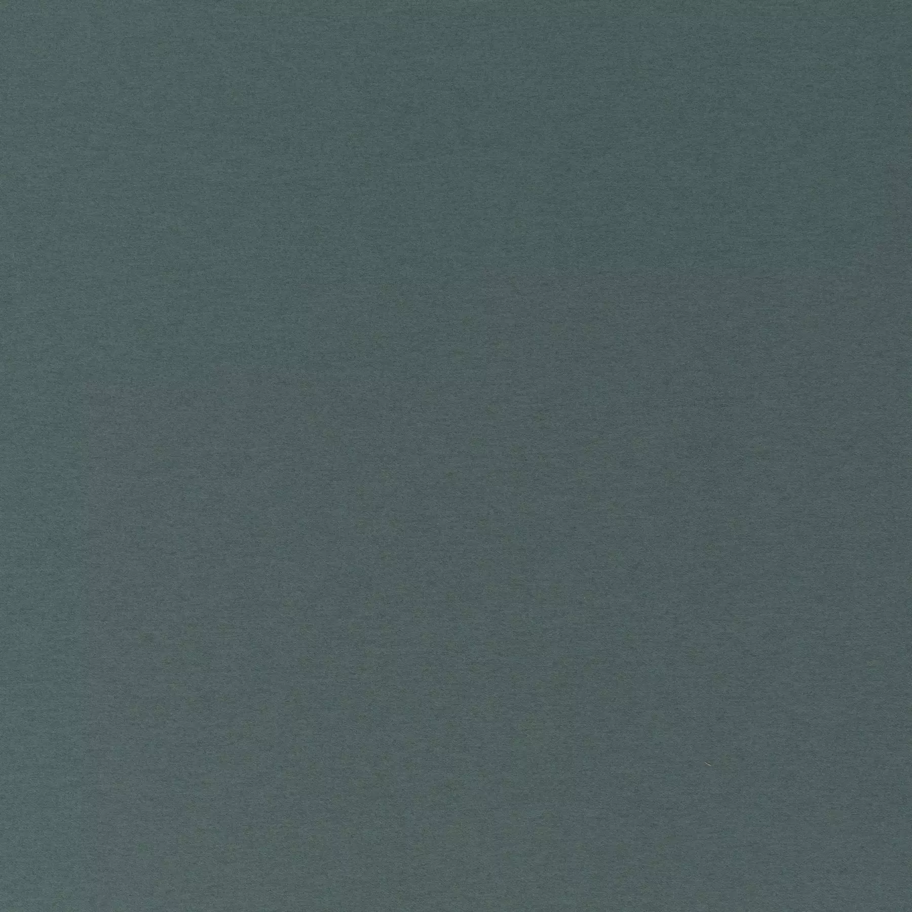 Cosy Dream - Ca1831/081