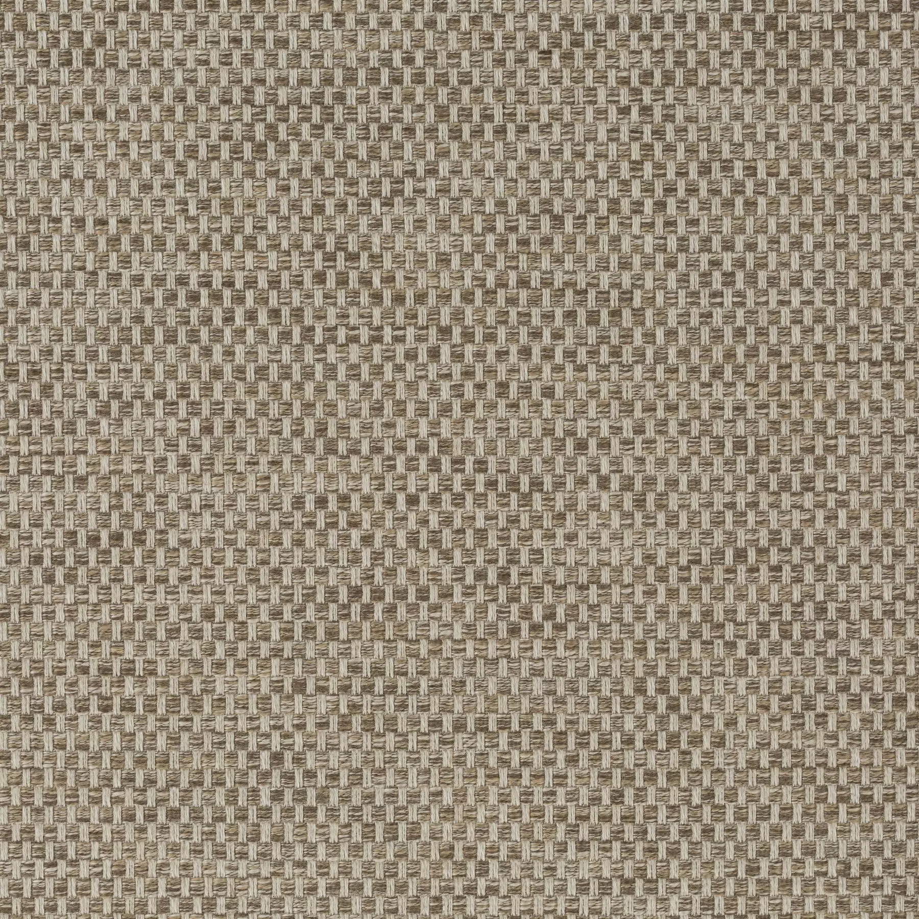 Silent Look - Ca1837/020