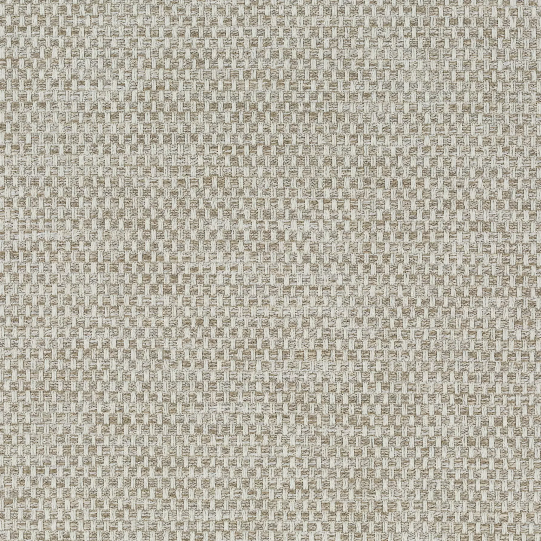 Silent Look - Ca1837/071