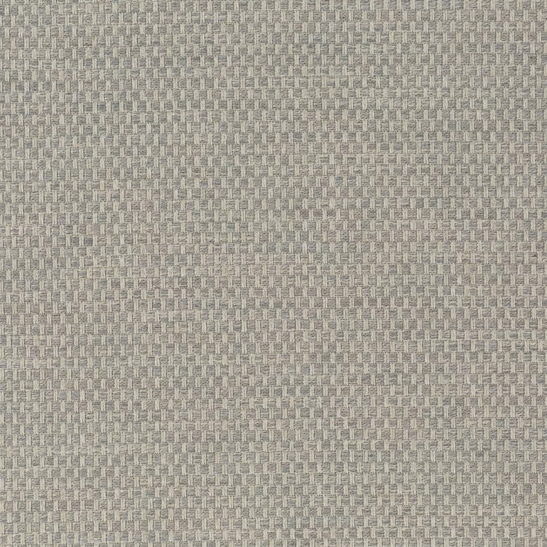 Silent Look - Ca1837/091