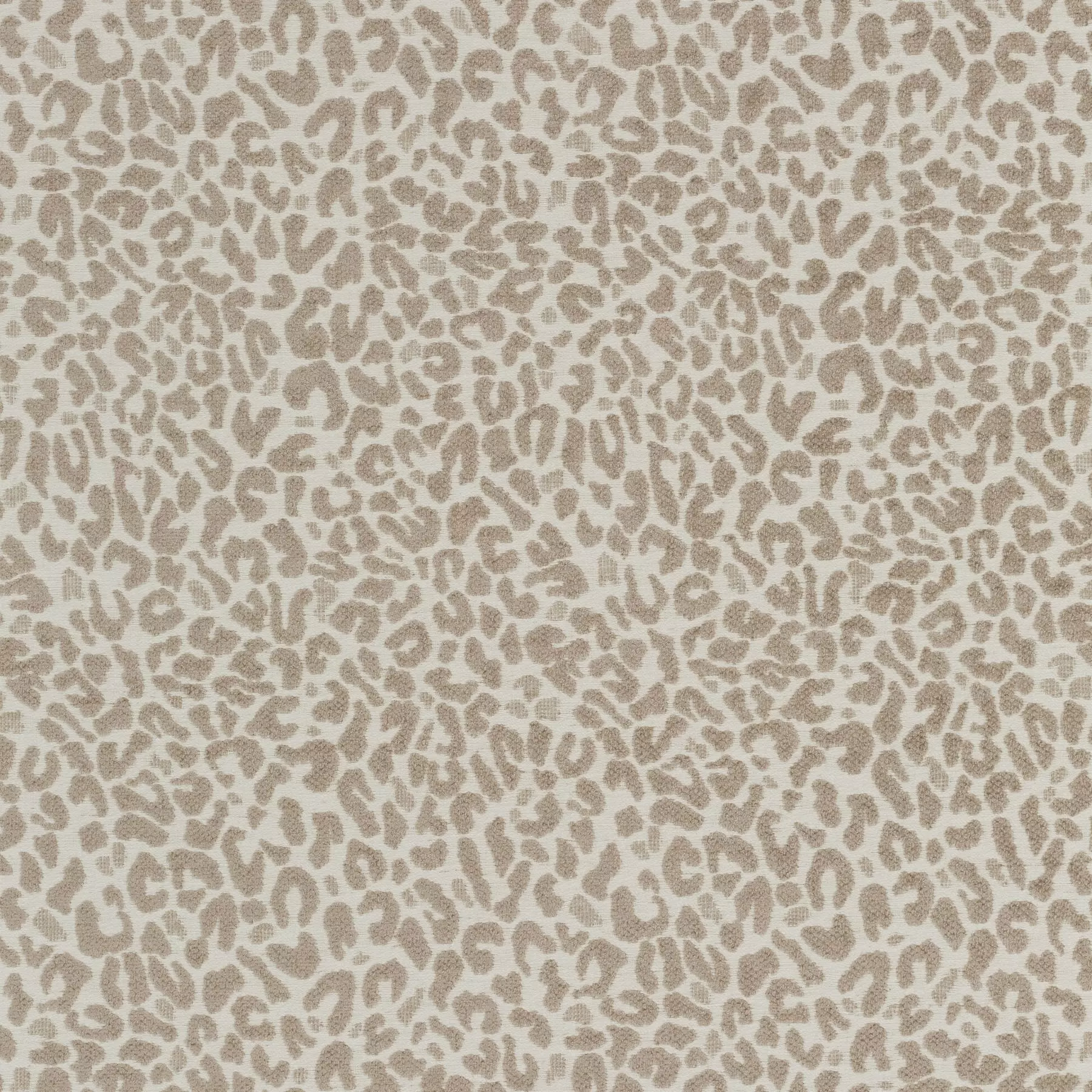 Cheetah - JA2128/071