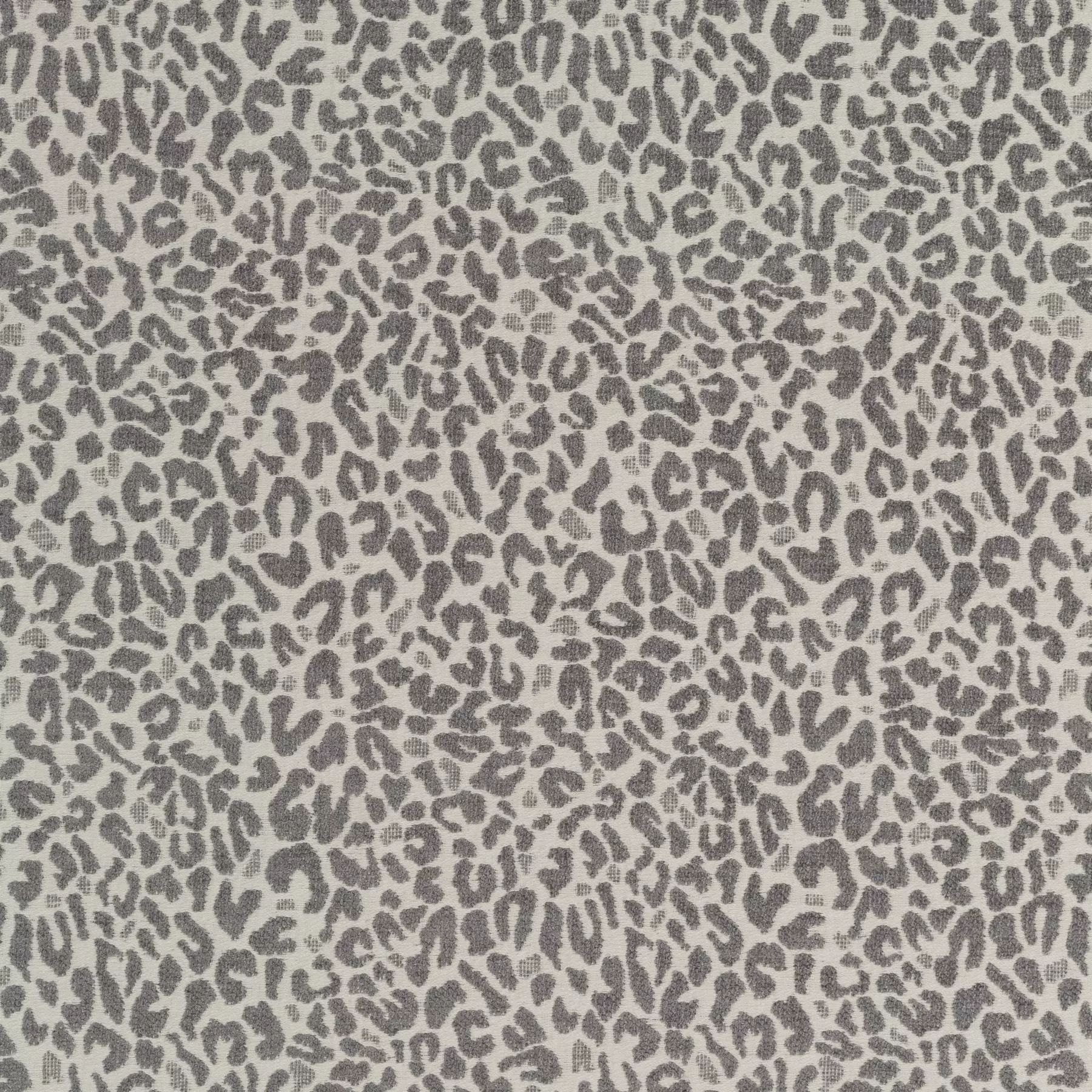 Cheetah - JA2128/090