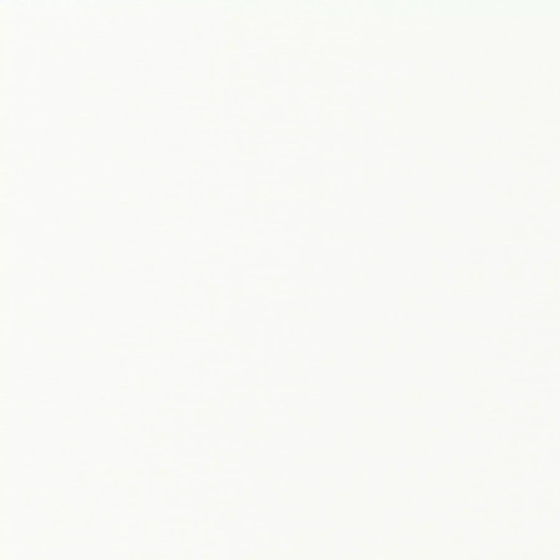 Clay - JA1072/070