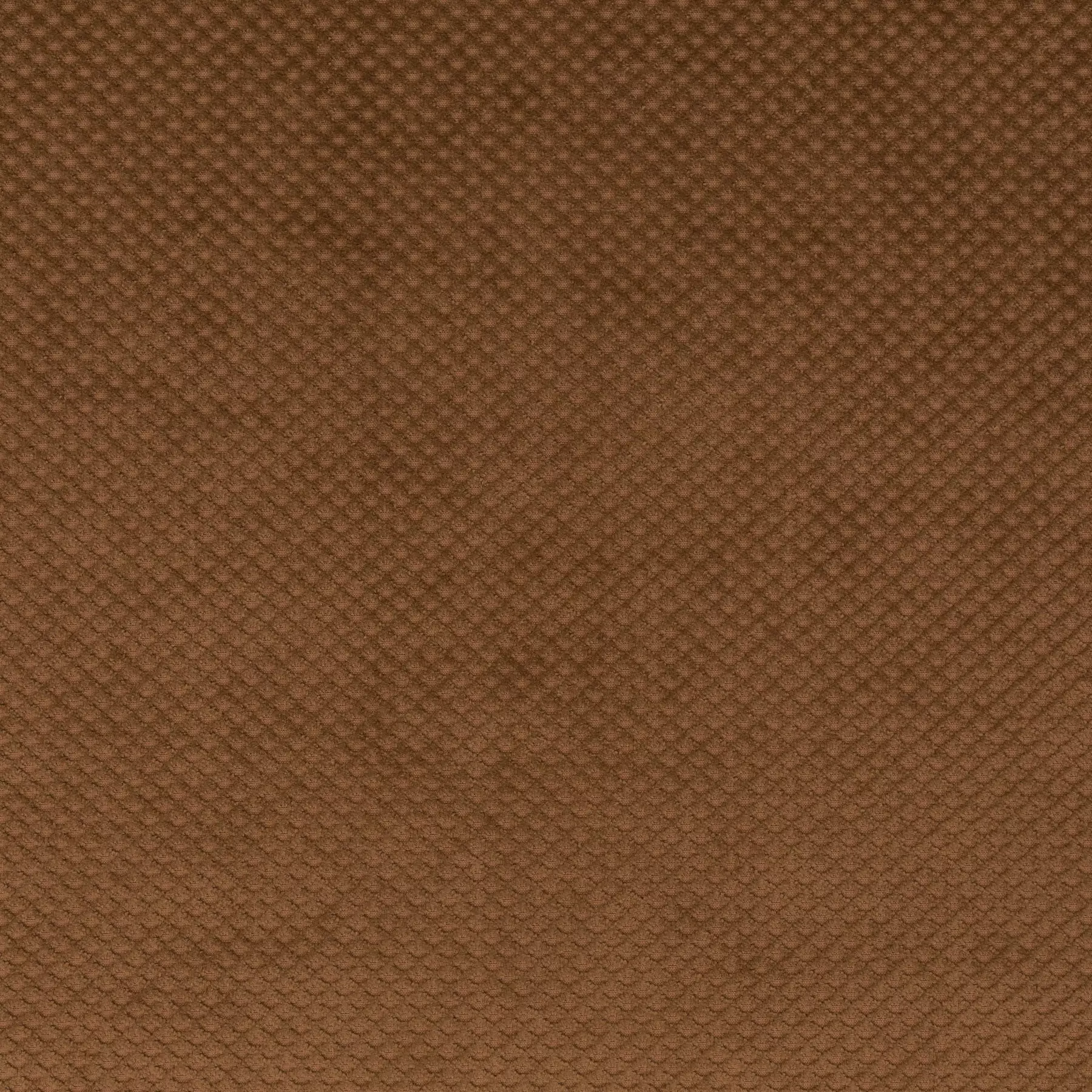 Ambassador - JA3025/061