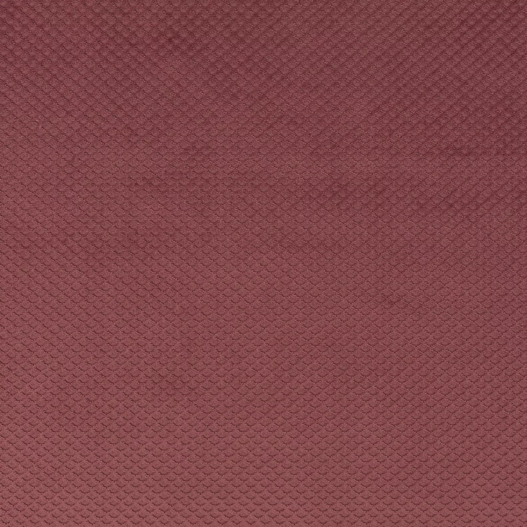 Ambassador - JA3025/062