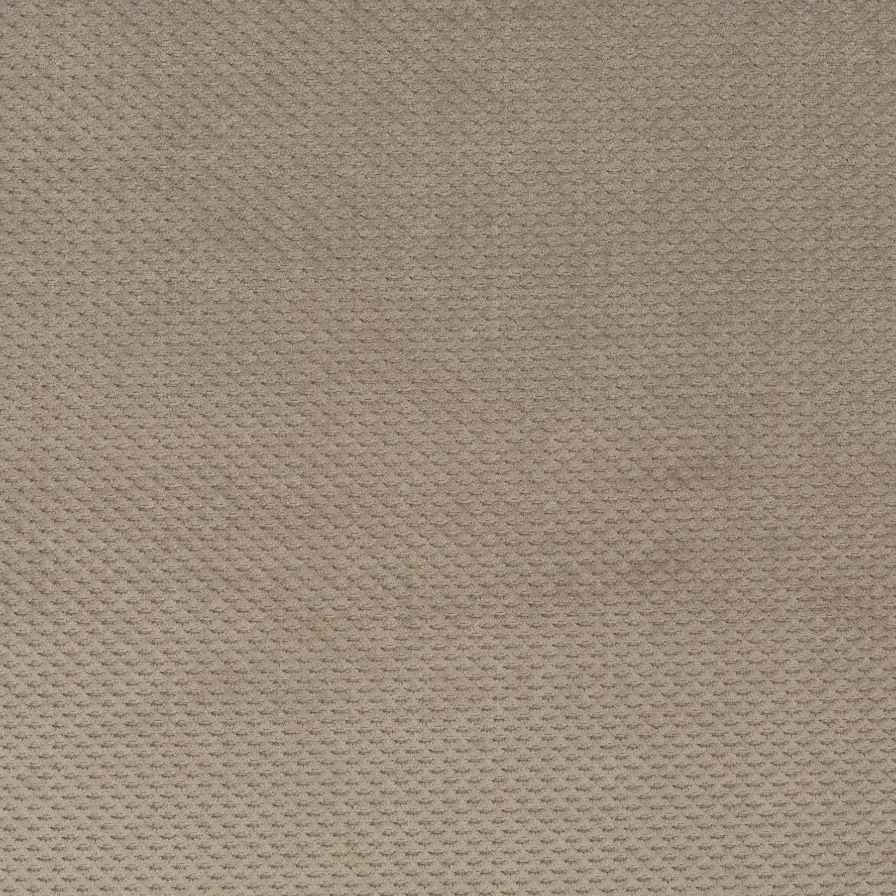 Ambassador - JA3025/072