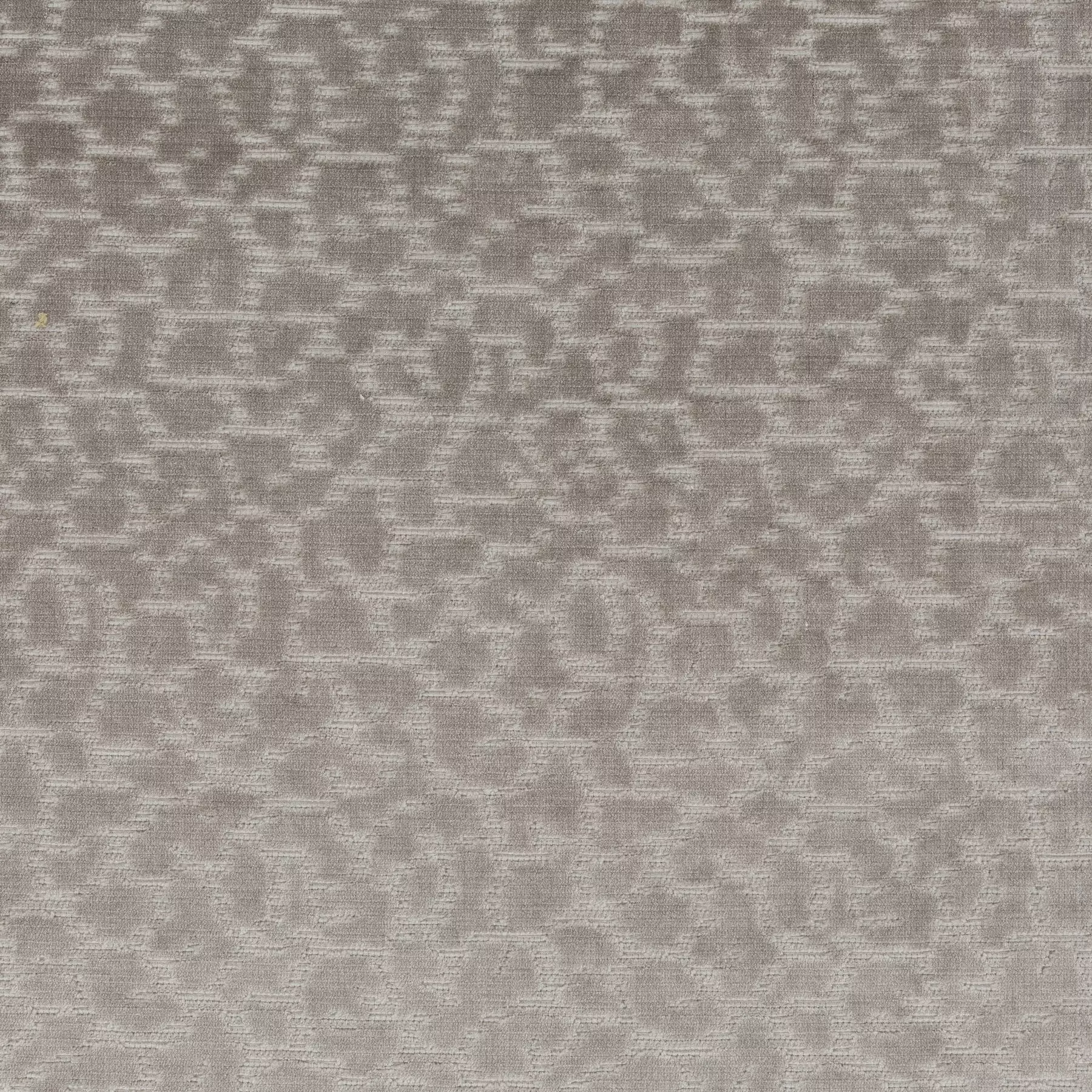 Leonessa - JA3027/071