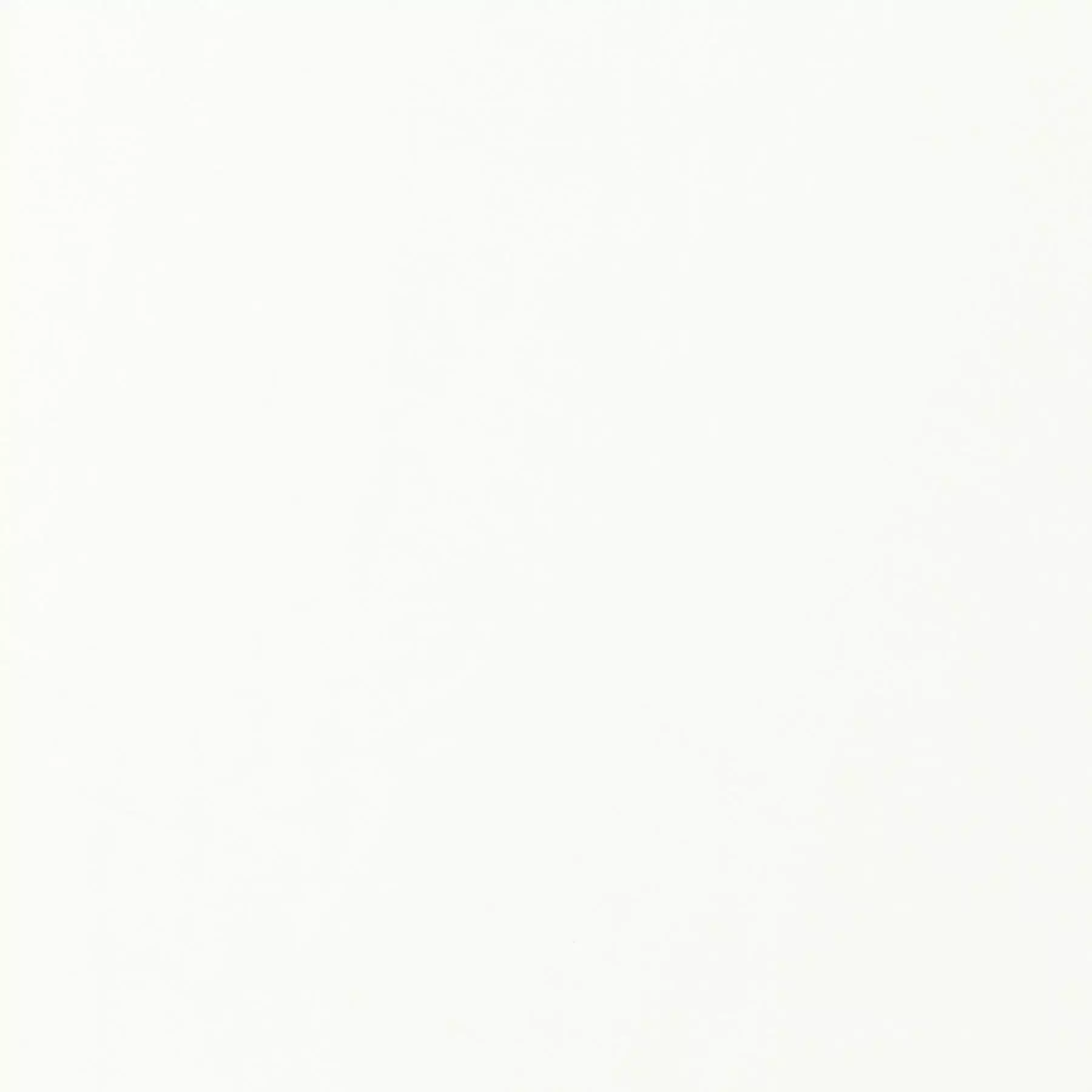 Glaze - JA6189/041