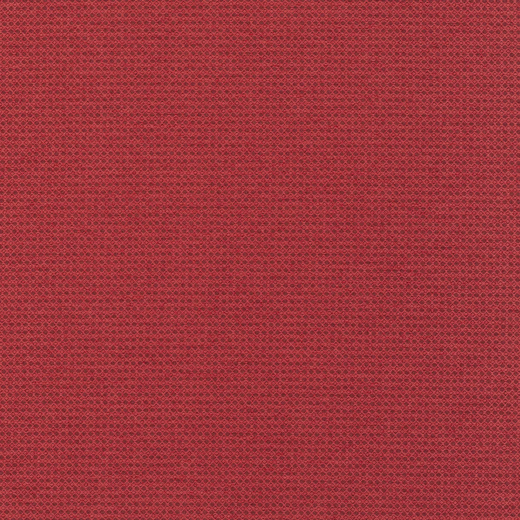 New Dawn - JA6187/010