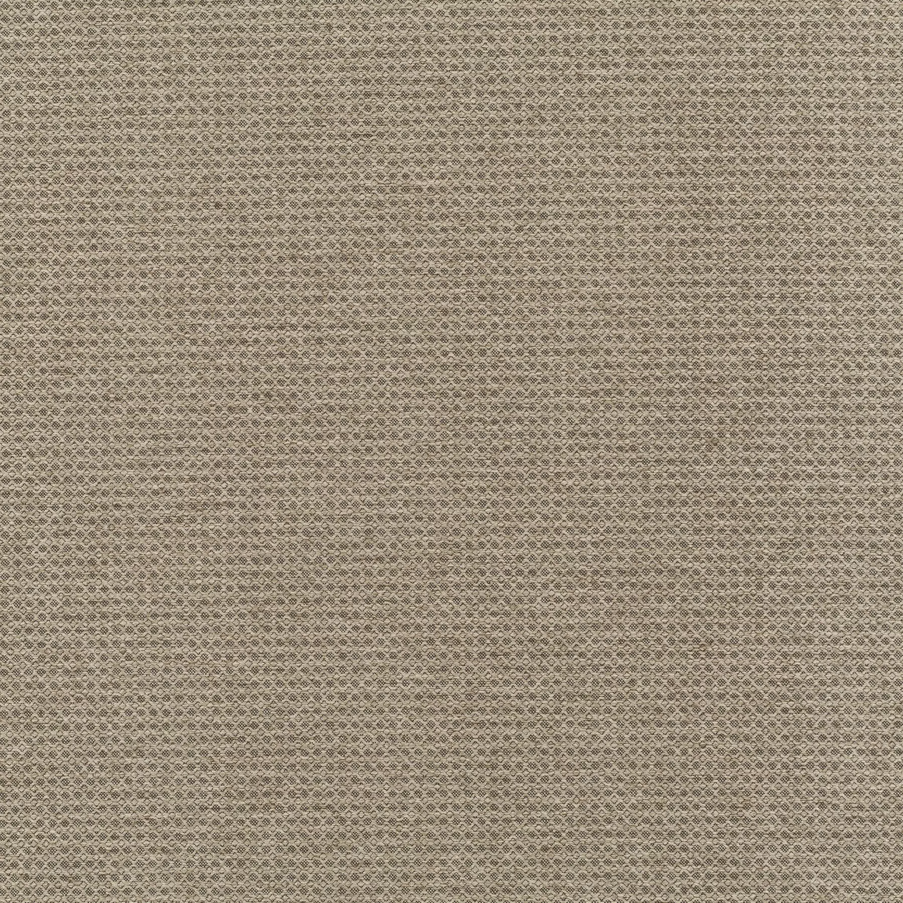 New Dawn - JA6187/020