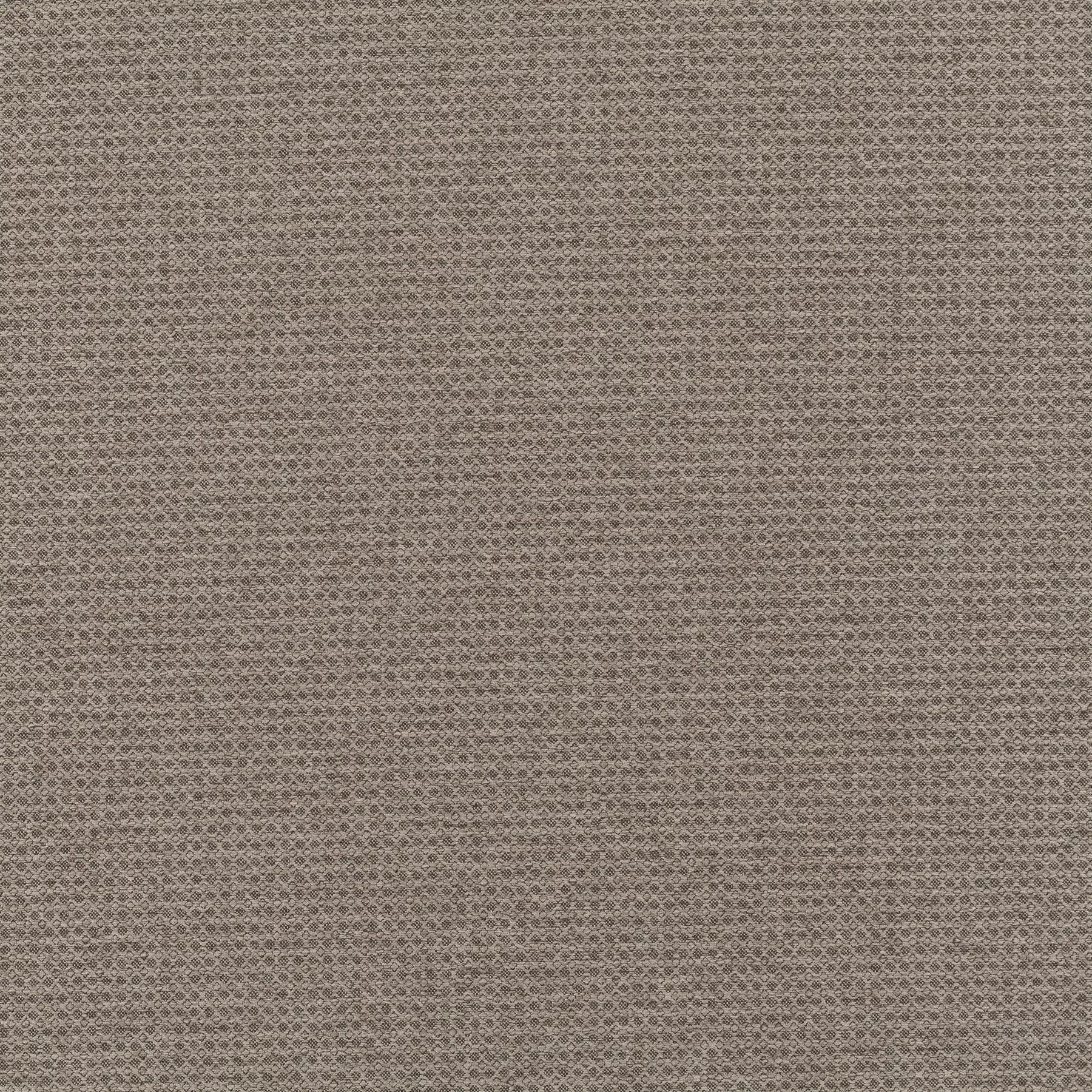 New Dawn - JA6187/021