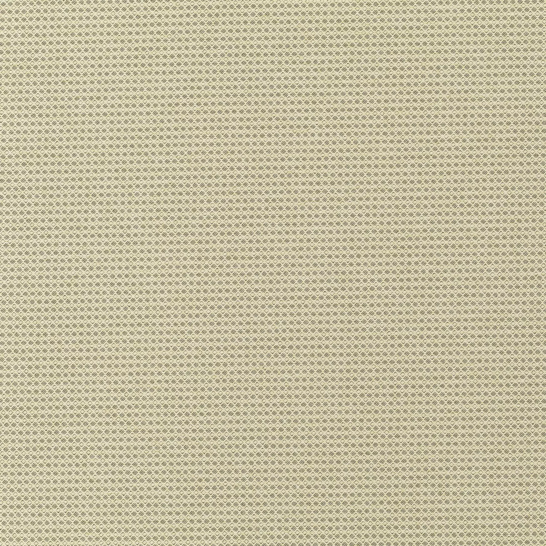 New Dawn - JA6187/030