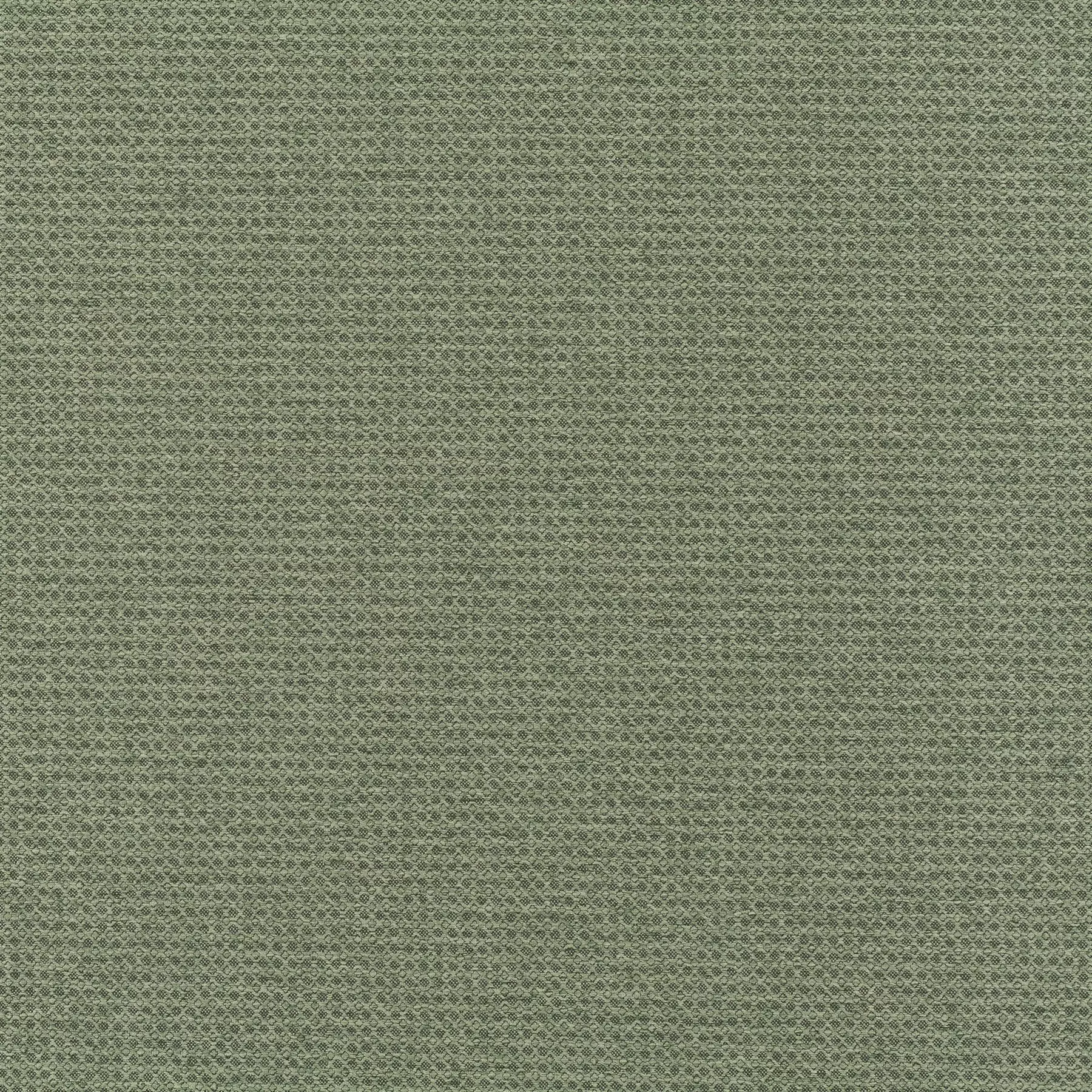 New Dawn - JA6187/032