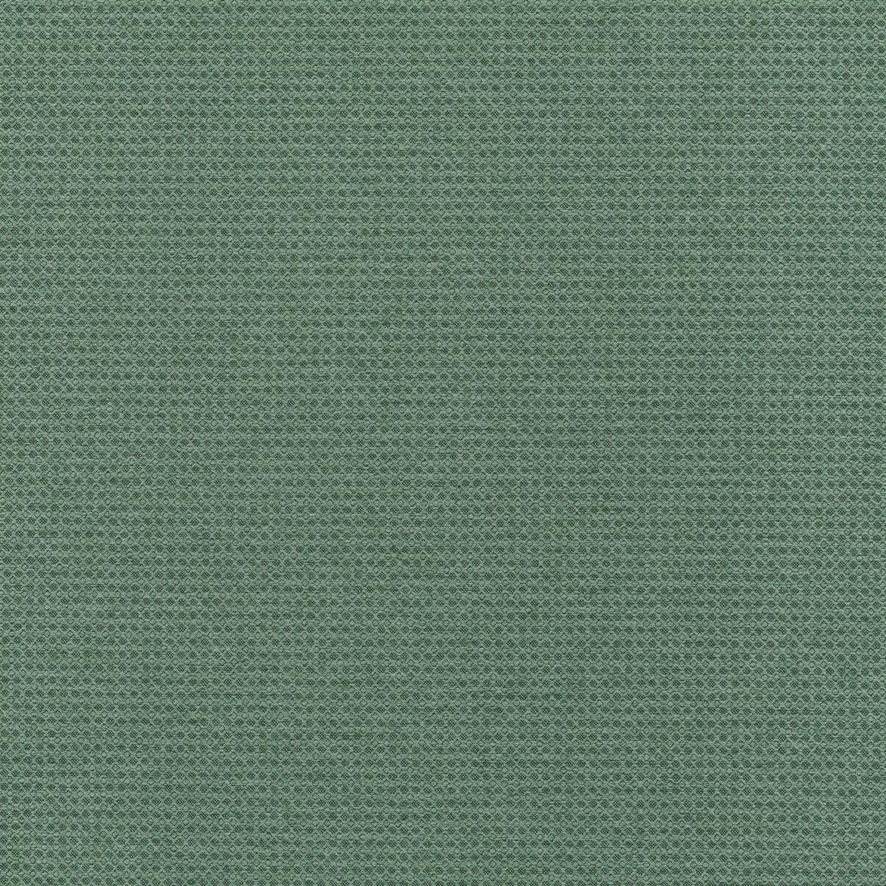 New Dawn - JA6187/033