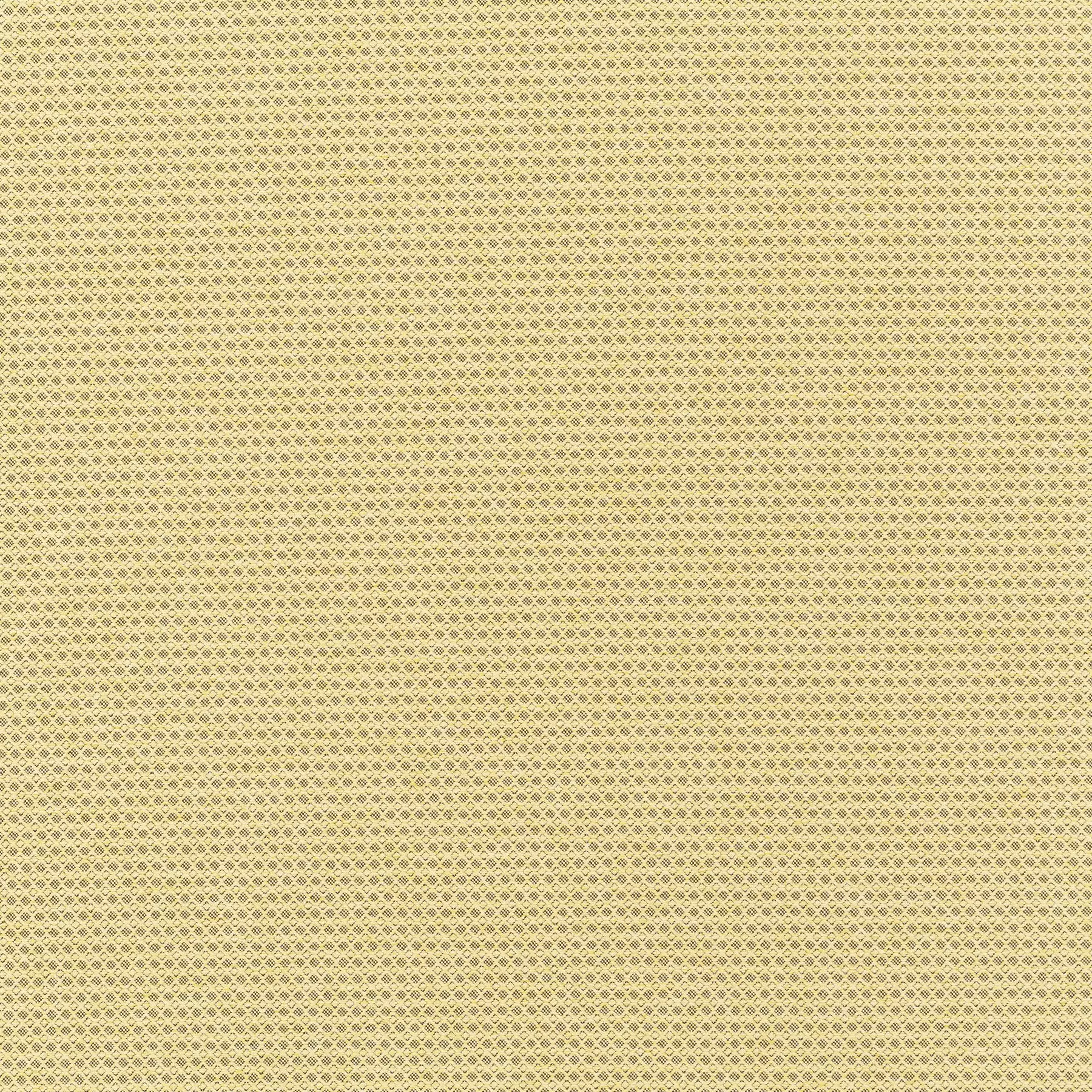 New Dawn - JA6187/040