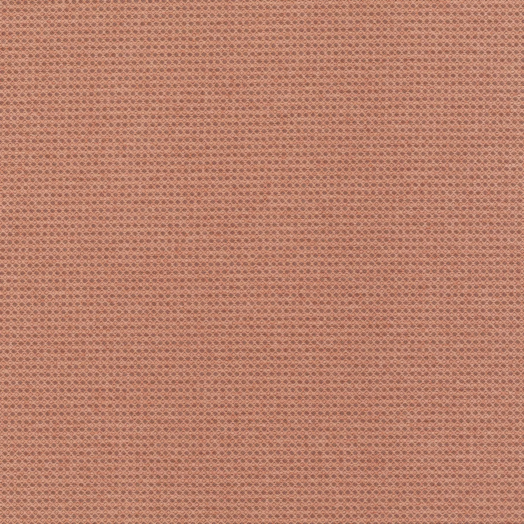 New Dawn - JA6187/060