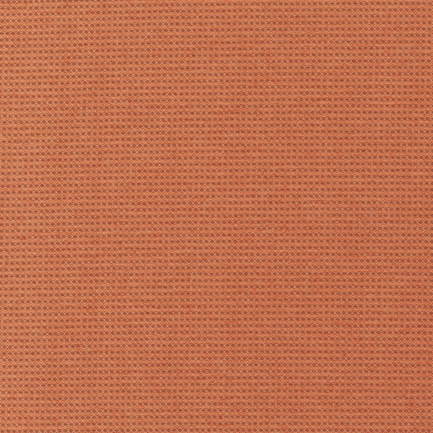 New Dawn - JA6187/061